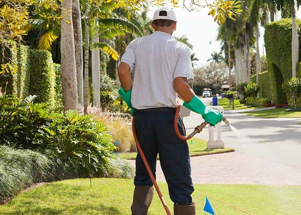 About Hartford IA Pest Control